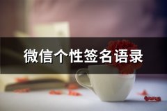 微信个性签名语录(推荐66句)