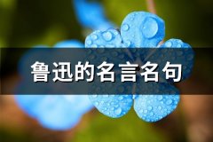 鲁迅的名言名句(优选240句)