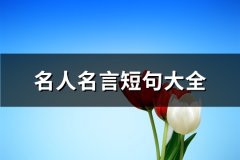 名人名言短句大全(必备66句)