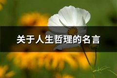 关于人生哲理的名言(优选65句)