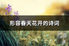 形容春天花开的诗词(热门40句)