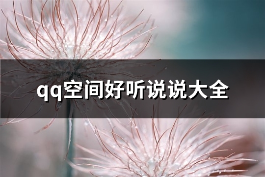 qq空间好听说说大全(热门78句)