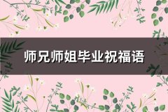 师兄师姐毕业祝福语(实用100句)