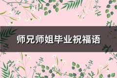 师兄师姐毕业祝福语(实用100句)