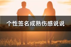 个性签名成熟伤感说说(实用39句)