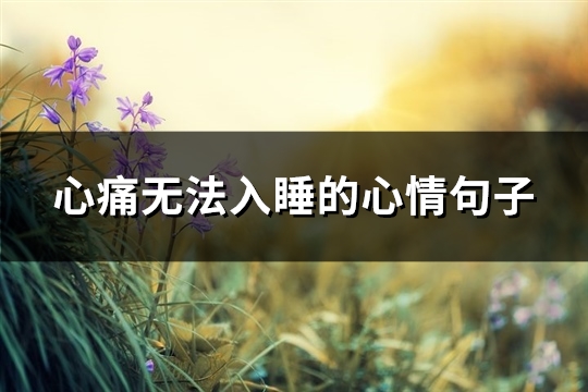 心痛无法入睡的心情句子(84句)