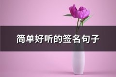 简单好听的签名句子(精选73句)