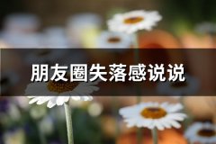 朋友圈失落感说说(实用65句)