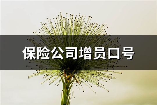 保险公司增员口号(共65句)
