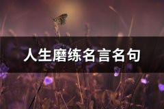 人生磨练名言名句(精选77句)