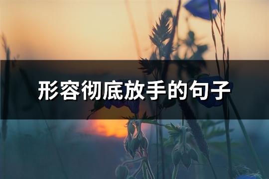形容彻底放手的句子(优选76句)