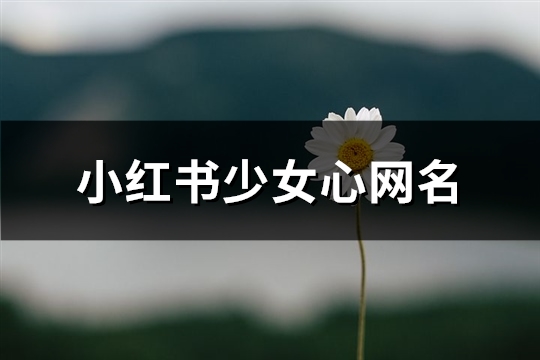 小红书少女心网名(297个)