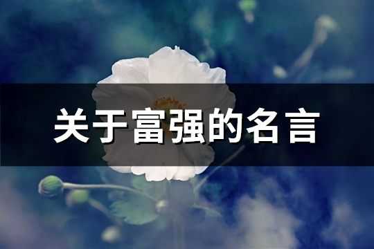 关于富强的名言(优选36句)