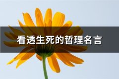 看透生死的哲理名言(推荐49句)