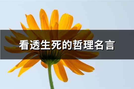 看透生死的哲理名言(推荐49句)