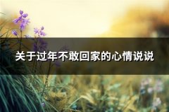 关于过年不敢回家的心情说说(83句)