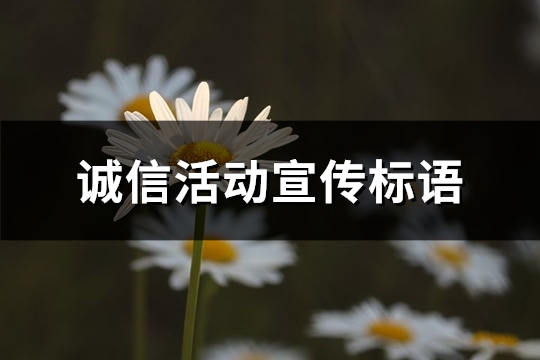 诚信活动宣传标语(精选178句)