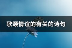 歌颂情谊的有关的诗句(精选305句)