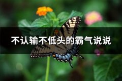 不认输不低头的霸气说说(共93句)