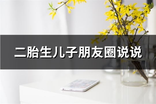 二胎生儿子朋友圈说说(共77句)