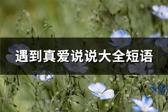 遇到真爱说说大全短语(162句)