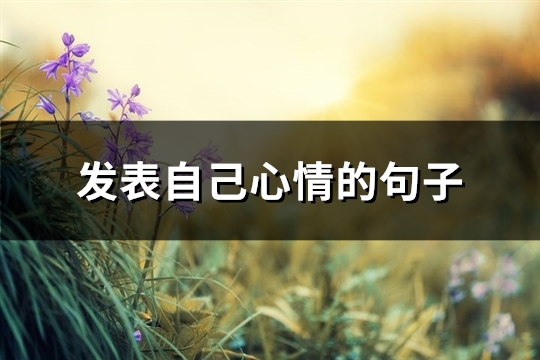 发表自己心情的句子(优选138句)