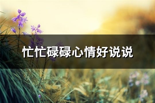 忙忙碌碌心情好说说(86句)