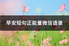 早安短句正能量微信语录(共105句)