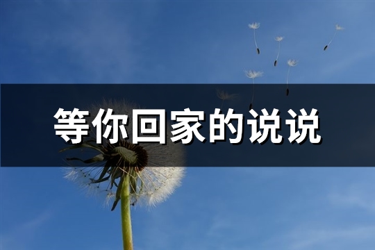 等你回家的说说(38句)