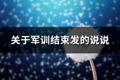 关于军训结束发的说说(共97句)