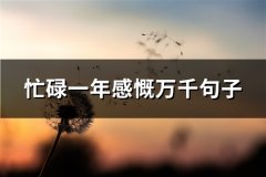 忙碌一年感慨万千句子(精选129句)