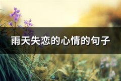 雨天失恋的心情的句子(精选158句)