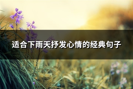 适合下雨天抒发心情的经典句子(优选80句)