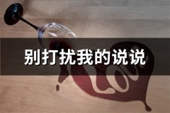 别打扰我的说说(110句)