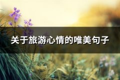 关于旅游心情的唯美句子(精选127句)