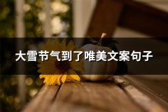 大雪节气到了唯美文案句子(推荐286句)