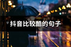 抖音比较酷的句子(共114句)