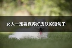 女人一定要保养好皮肤的短句子(共83句)