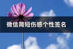 微信简短伤感个性签名(精选256句)