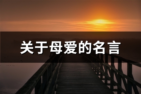 关于母爱的名言(精选116句)