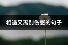 相遇又离别伤感的句子(推荐159句)