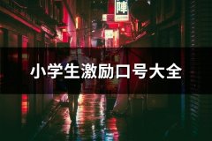 小学生激励口号大全(精选175句)