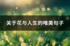 关于花与人生的唯美句子(精选111句)