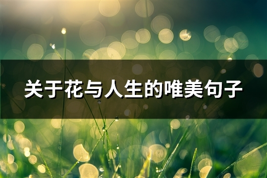 关于花与人生的唯美句子(精选111句)