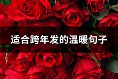适合跨年发的温暖句子(共60句)