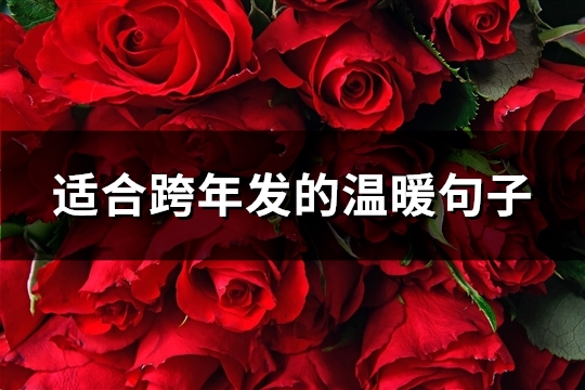 适合跨年发的温暖句子(共60句)