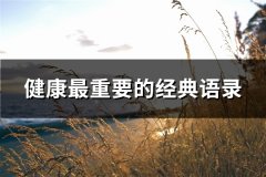 健康最重要的经典语录(111句)