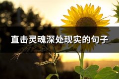 直击灵魂深处现实的句子(16句)