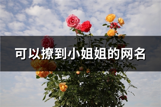 可以撩到小姐姐的网名(共344个)