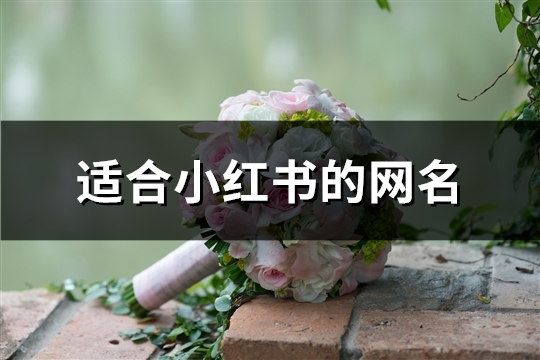 适合小红书的网名(共100个)